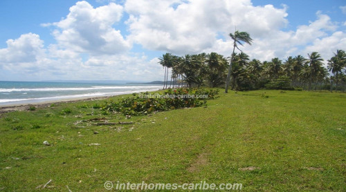 photos for LAS CAÑAS: LAND OF 25,000 M² / 6.18 ACRE WITH DIRECT SEA FRONT, OWNER FINANCING