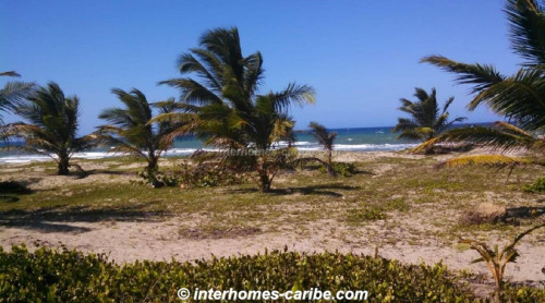 photos for SABANETA DE YASICA: THE LAST LOT WITH DIRECT BEACH LOCATION ON THE NATURAL LA BOKA BEACH